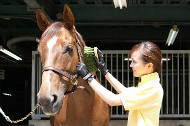 乗馬クラブ クレイン千葉富津