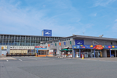 ザ・フィッシュ