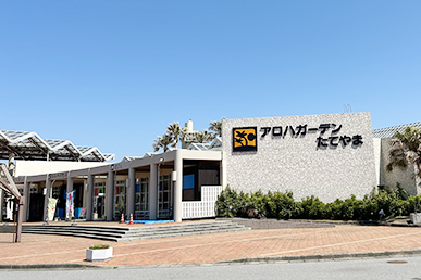 アロハガーデンたてやま