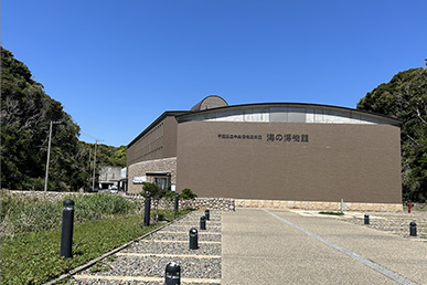 海の博物館・勝浦海中展望塔
