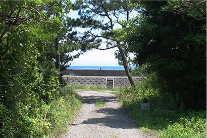 江見海岸への道